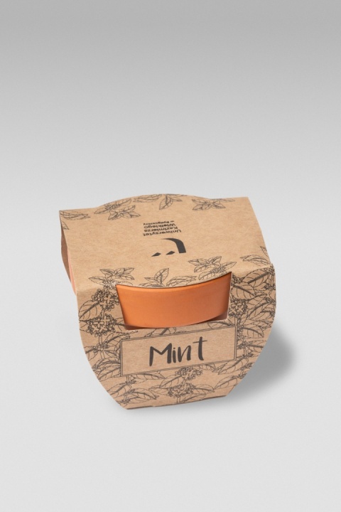 Doniczka w papierowym opakowaniu z rysunkami liści, napisem „Mint” i logo UKW.